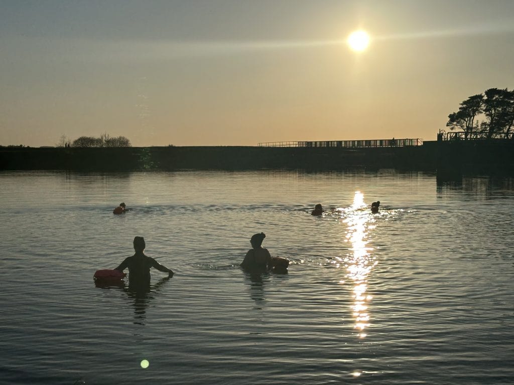 Group of women swimming at sunset.